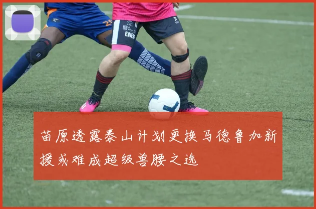 苗原透露泰山计划更换马德鲁加新援或难成超级兽腰之选